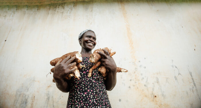 Cassava farmer holds an armful of cassava